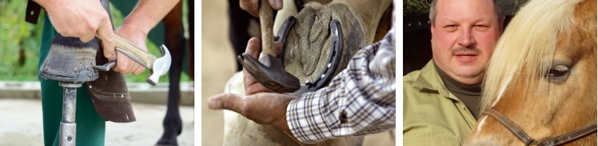 Klaus Mäurer - Sachverständiger für Hufbeschlag Klaus Mäurer - Sachverständiger für Hufbeschlag